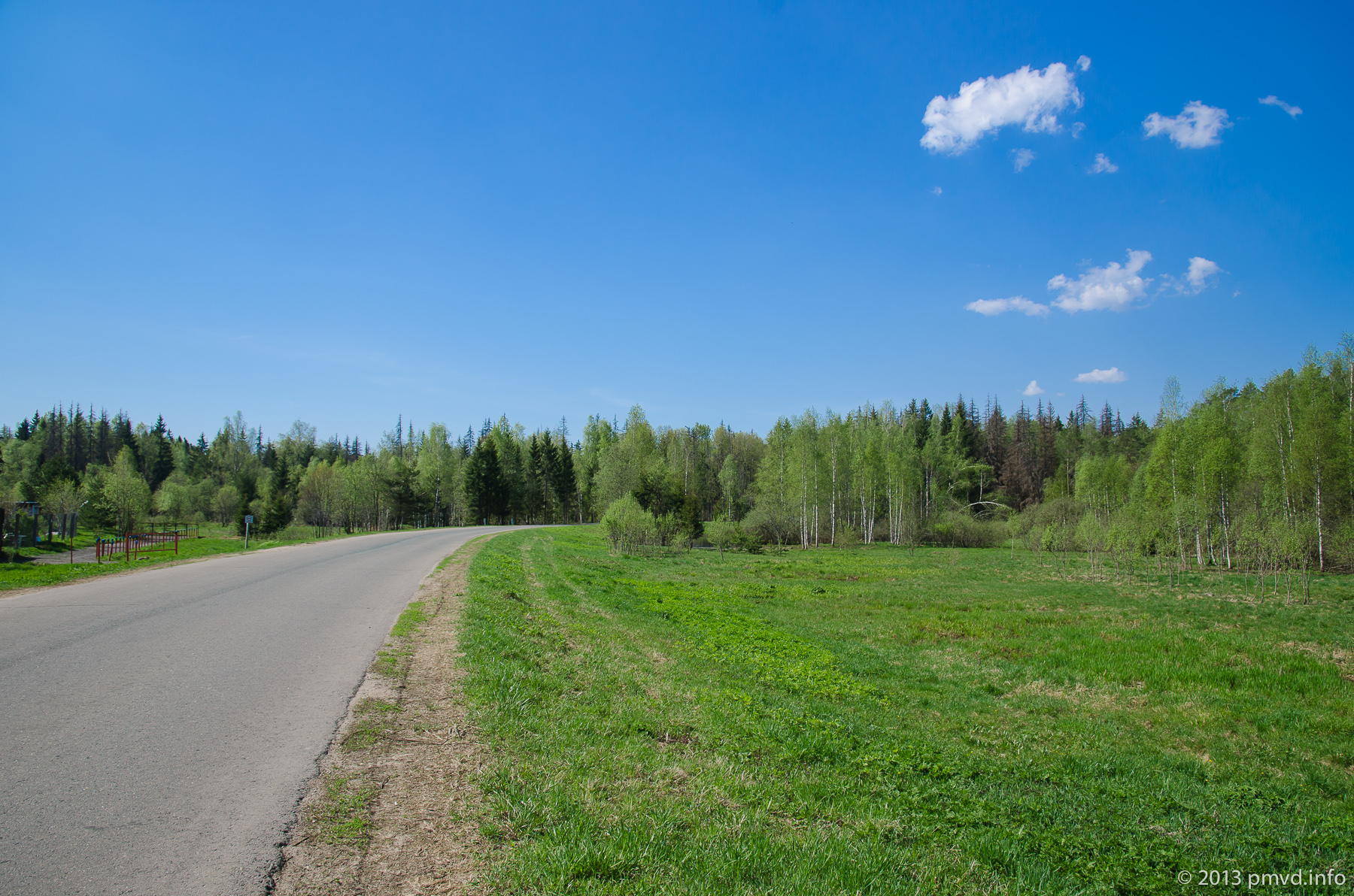Naro-Fominsk district. Forest near Krugi village