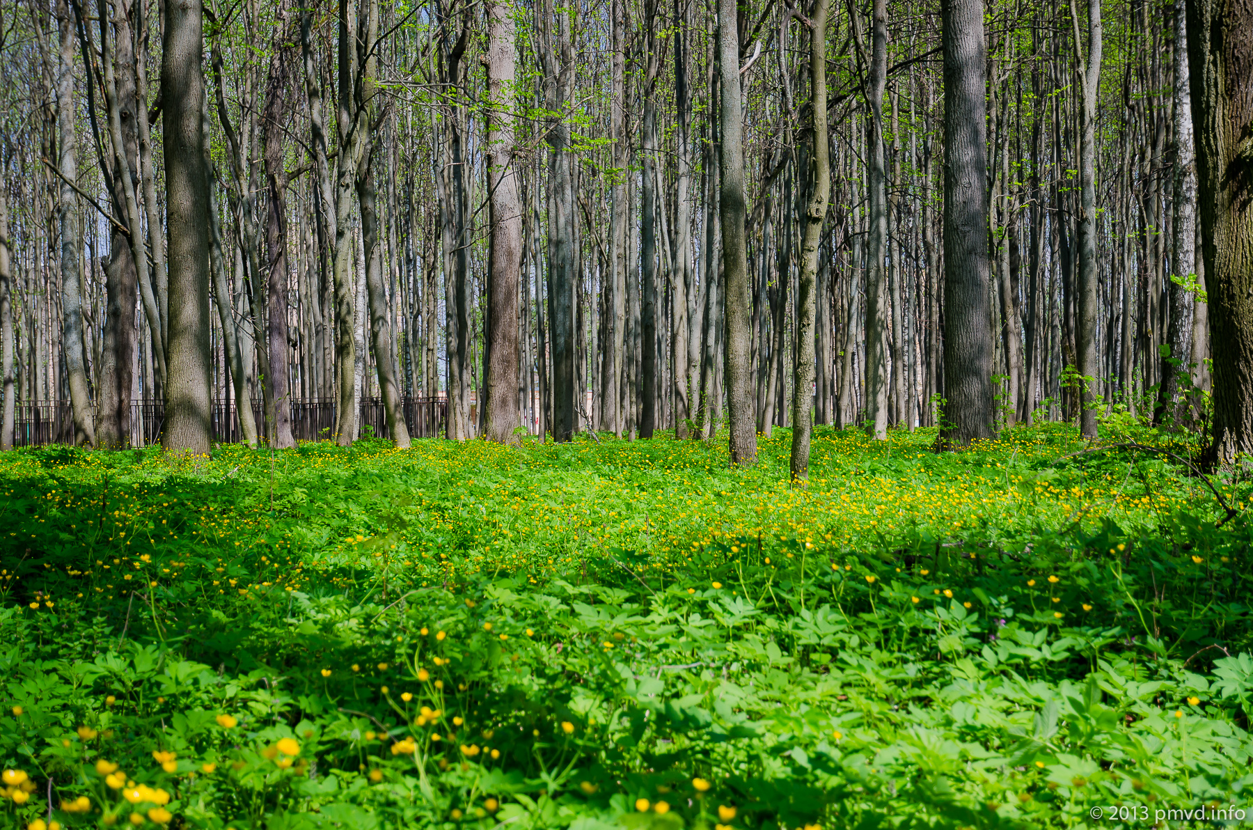 Vorovsky Park. Naro-Fominsk.